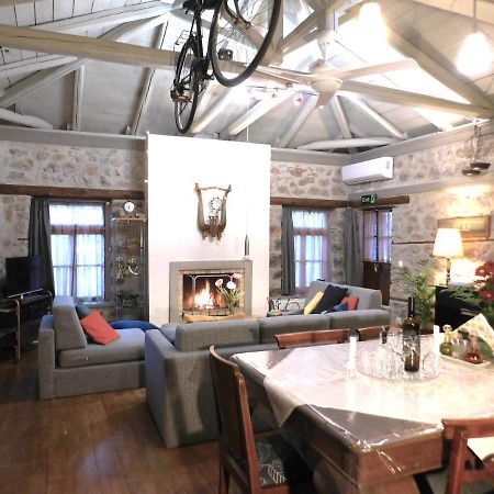 Agoriani Art Suite - 4 Seasons' Natural Living Lílaia エクステリア 写真